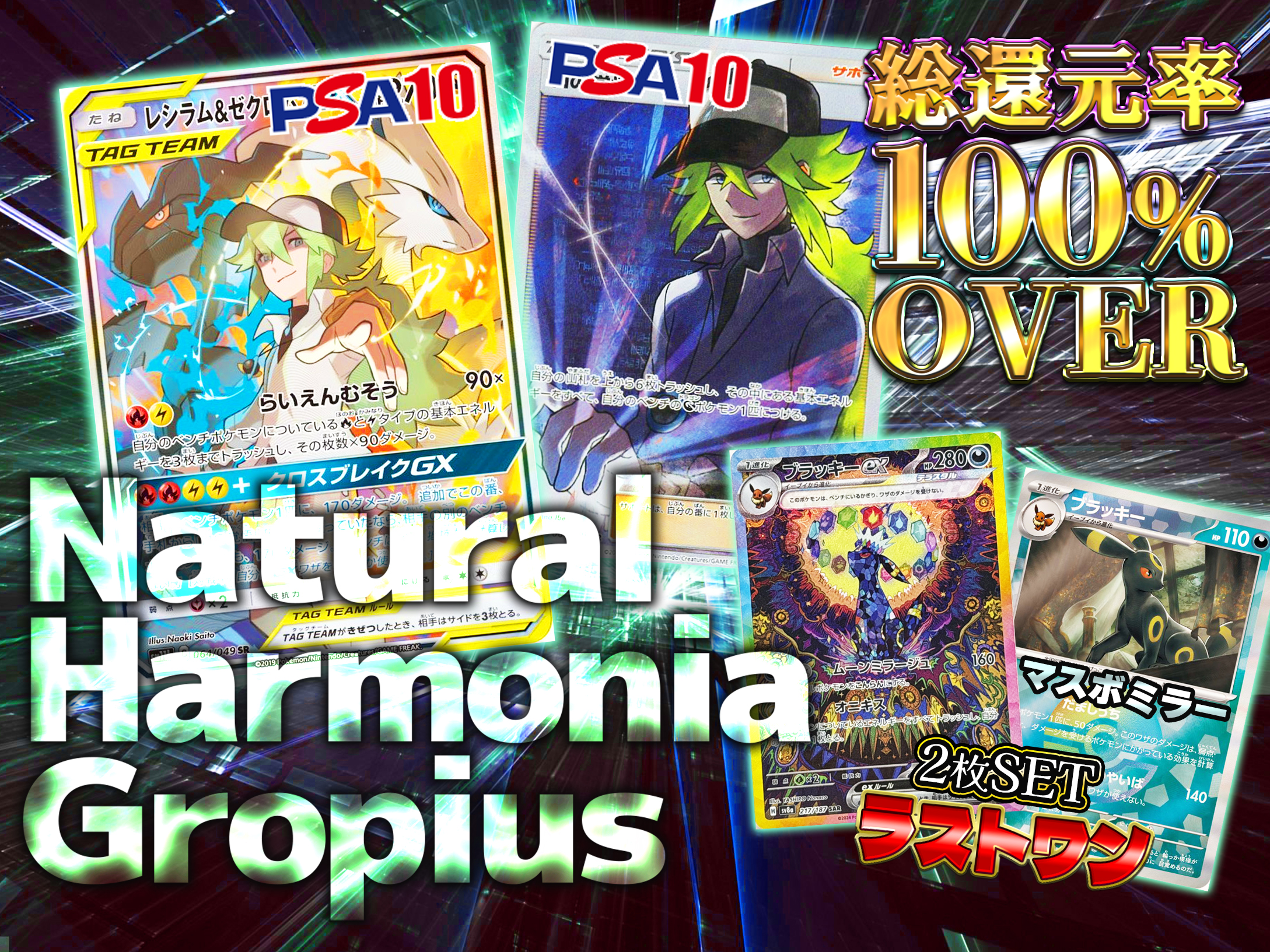 ビギナー限定 Natural Harmonia Gropius 還元率100%越の画像